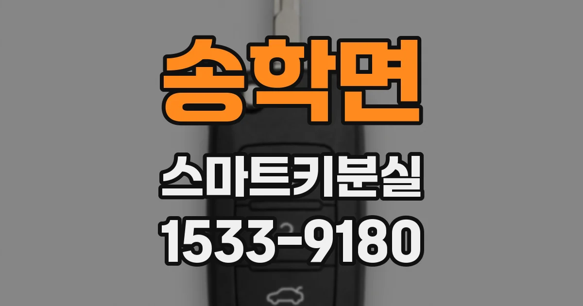 송학면 스마트키분실
