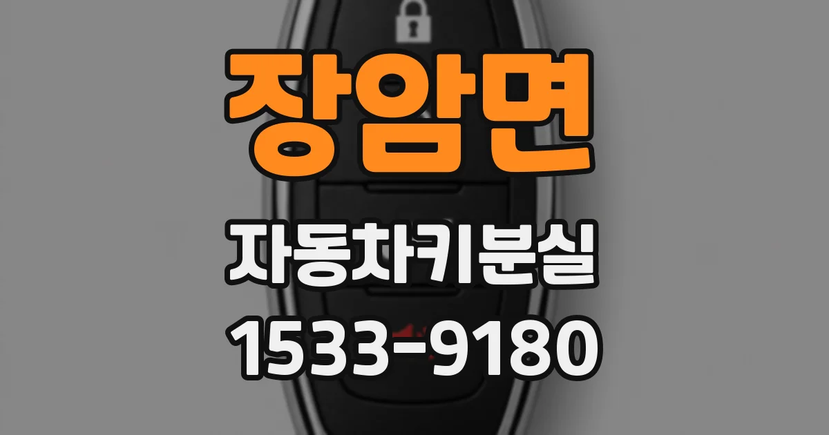 장암면 자동차키분실