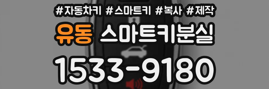 유동 스마트키분실
