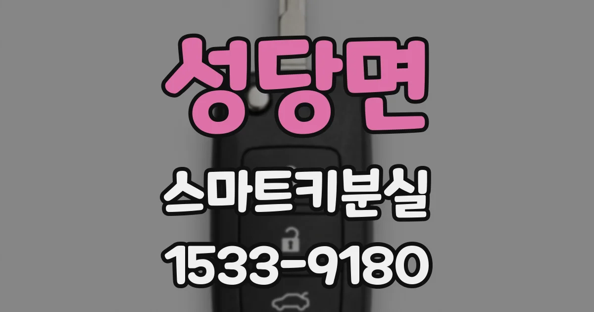 성당면 스마트키분실