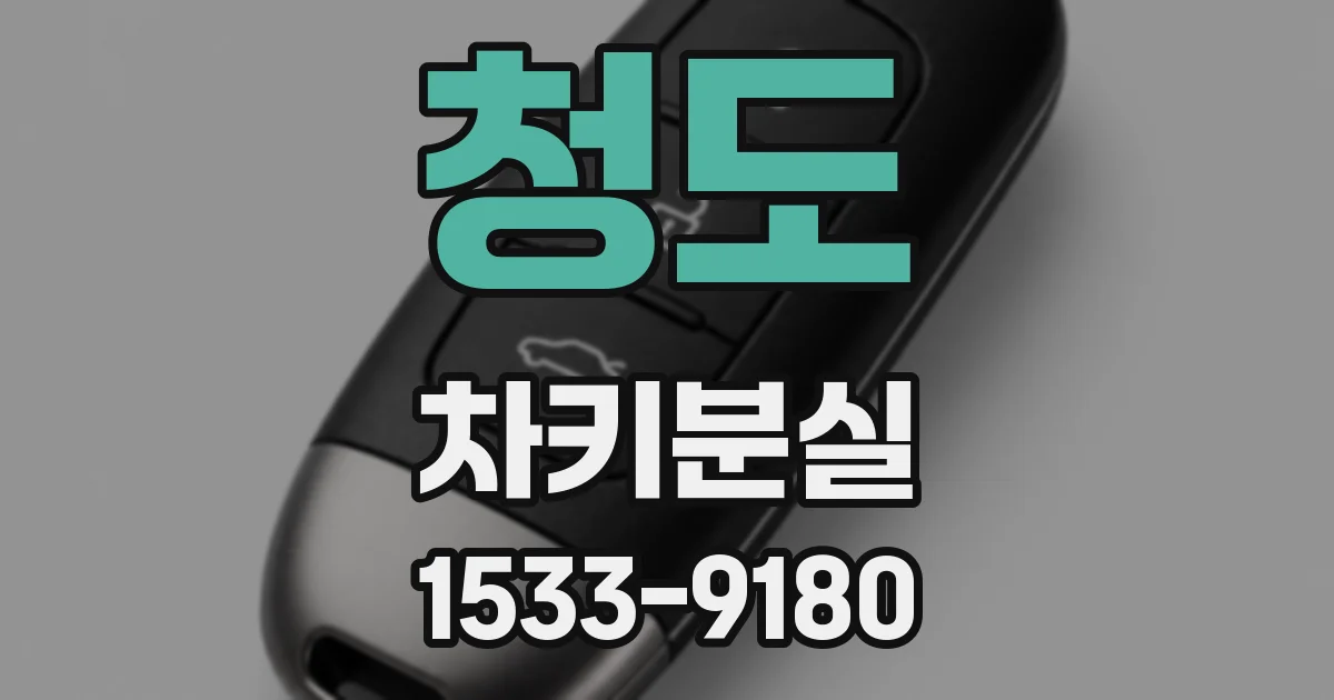 청도 차키분실