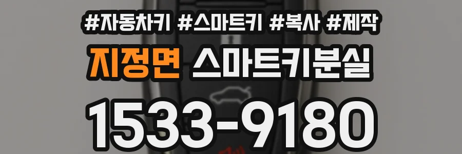 지정면 스마트키분실