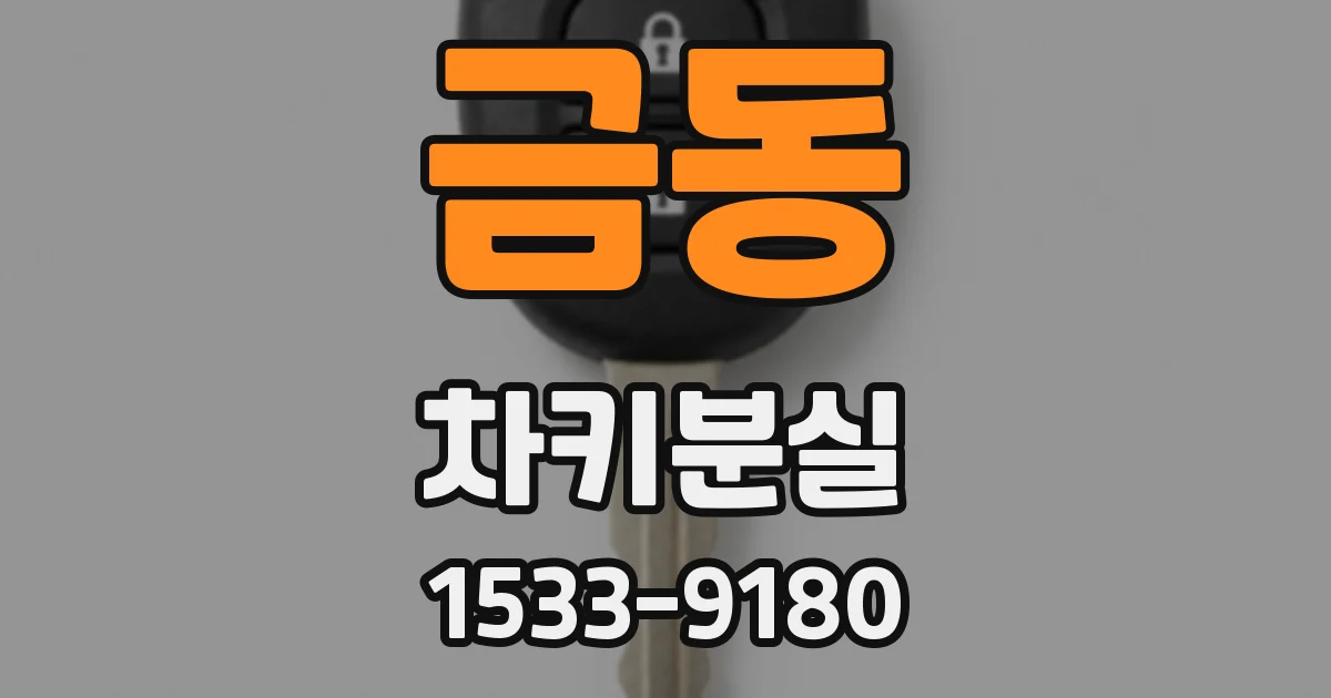 금동 차키분실