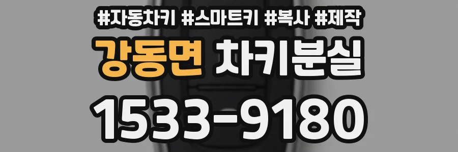 강동면 차키분실