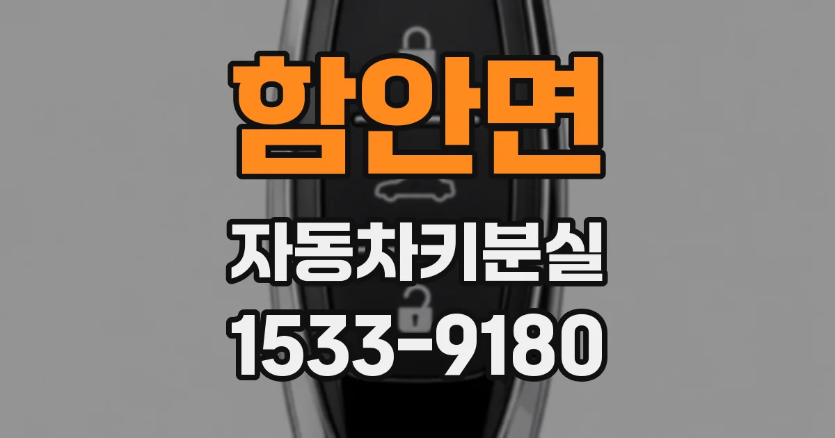 함안면 자동차키분실