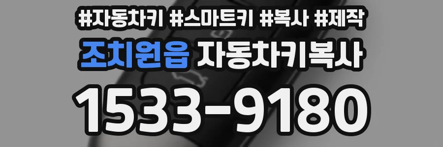 조치원읍 자동차키복사