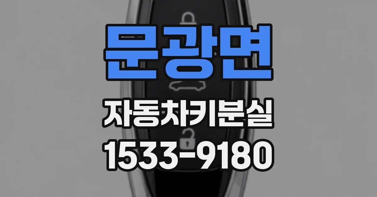 문광면 자동차키분실