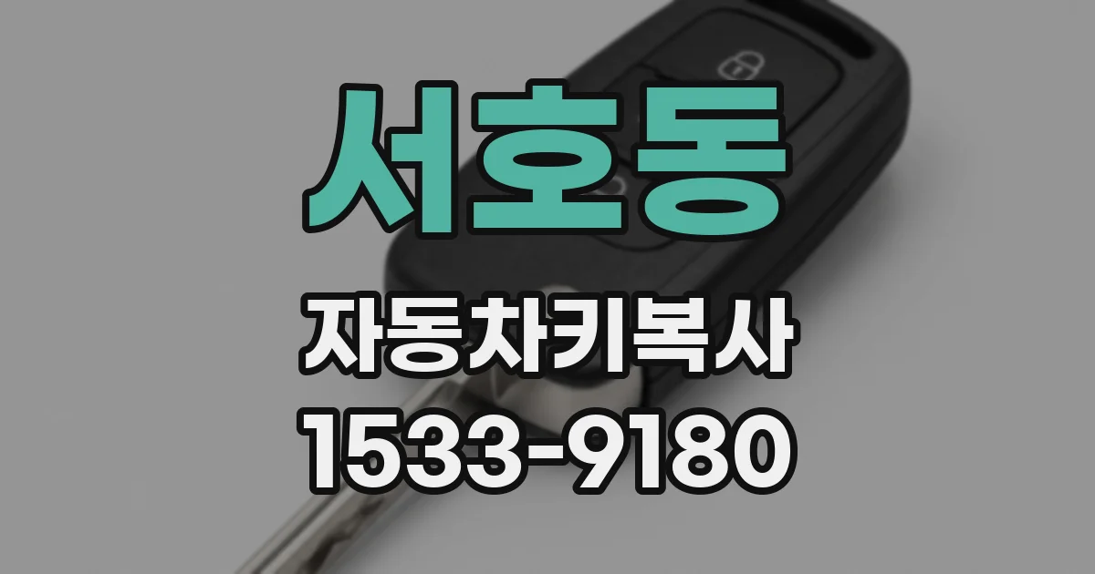 서호동 자동차키복사