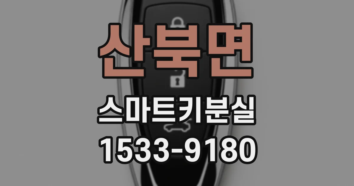 산북면 스마트키분실