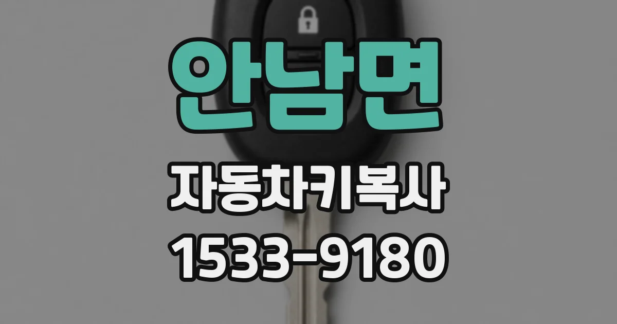 안남면 자동차키복사