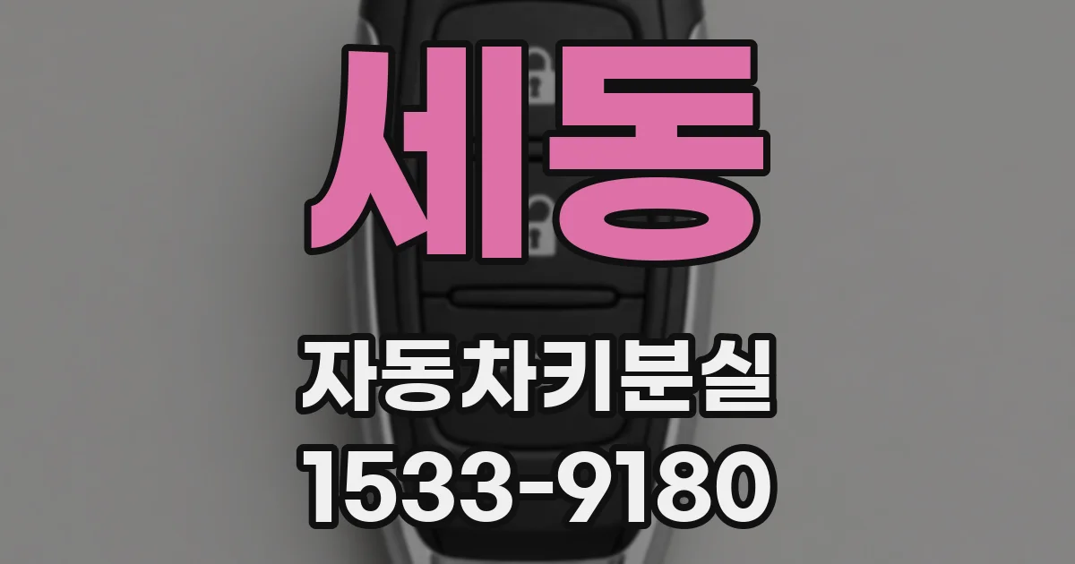 세동 자동차키분실