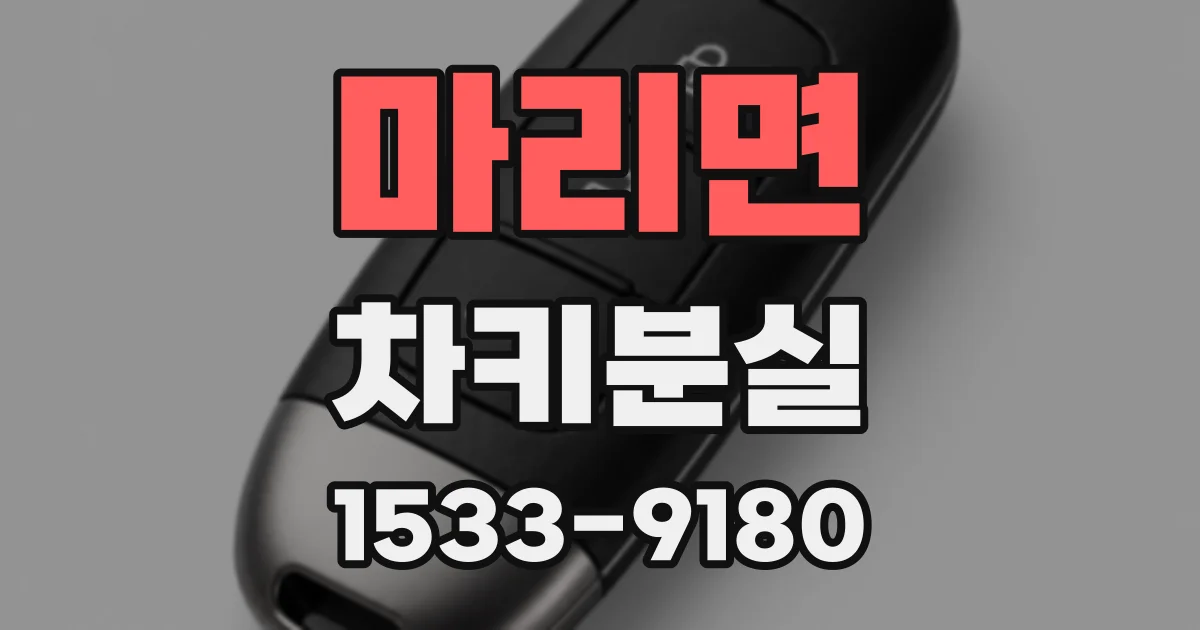 마리면 차키분실