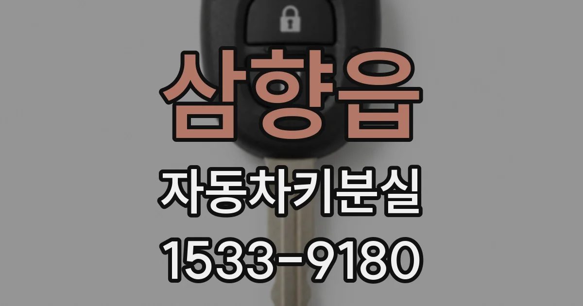 삼향읍 자동차키분실