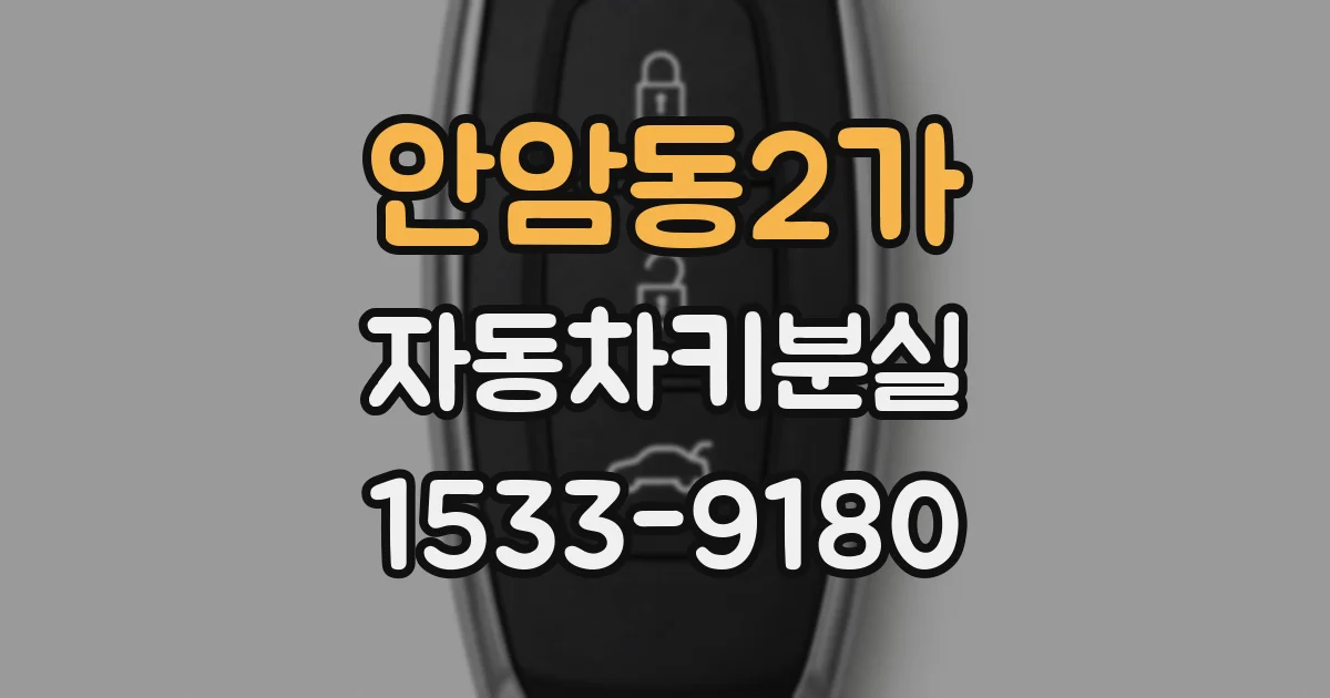 안암동2가 자동차키분실