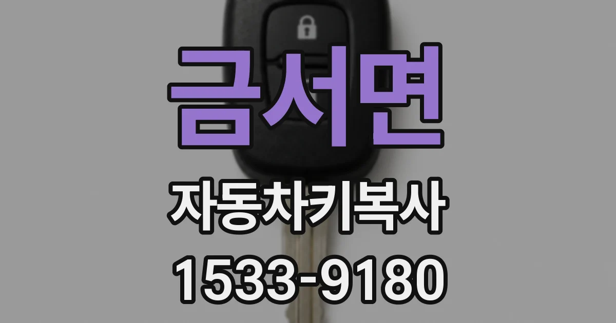 금서면 자동차키복사
