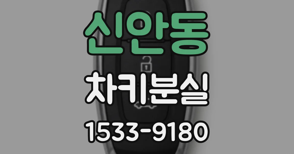 신안동 차키분실