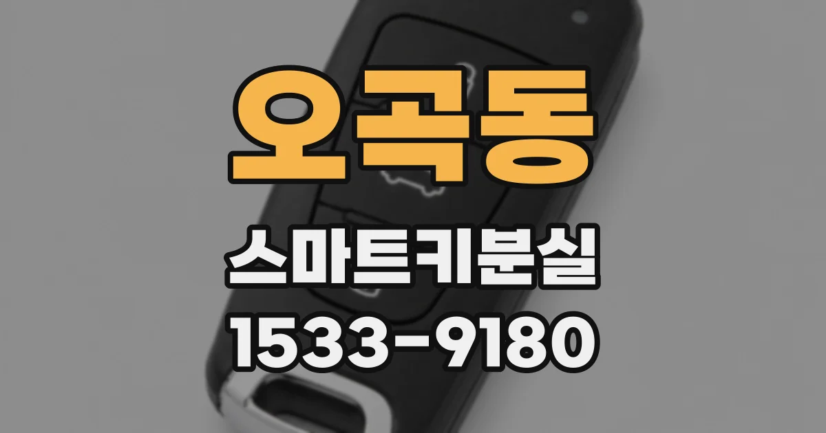 오곡동 스마트키분실