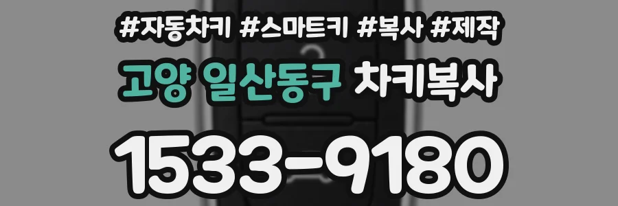 고양 일산동구 차키복사