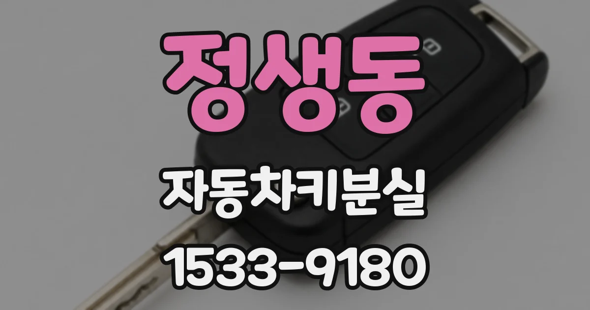 정생동 자동차키분실