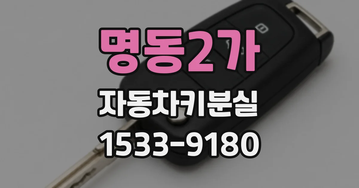 명동2가 자동차키분실