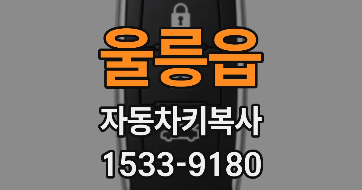 울릉읍 자동차키복사