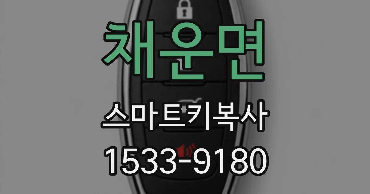 채운면 스마트키복사
