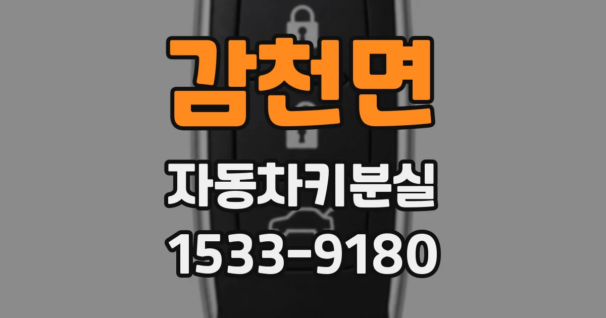 감천면 자동차키분실
