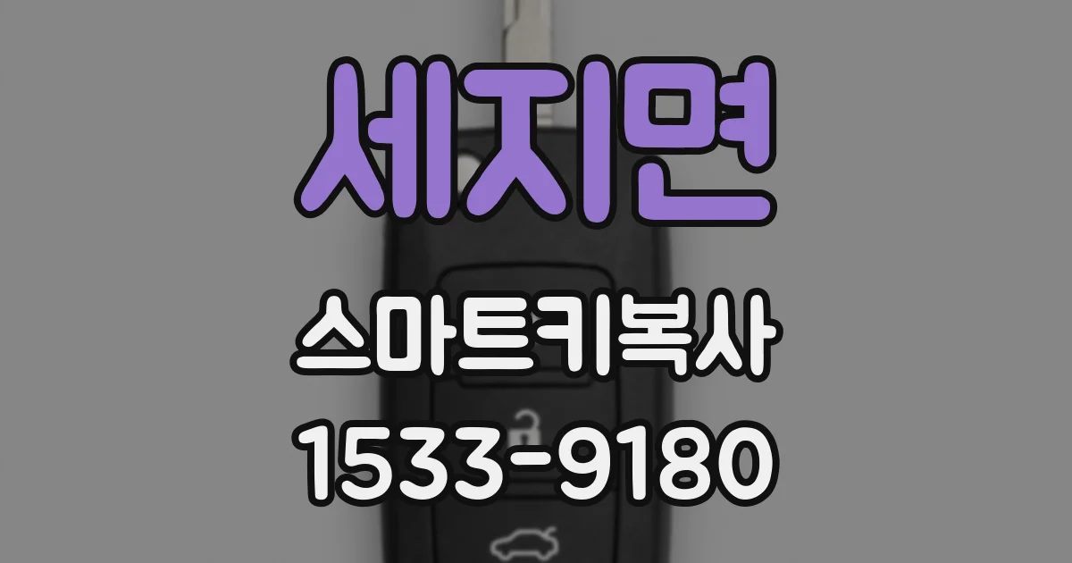 세지면 스마트키복사