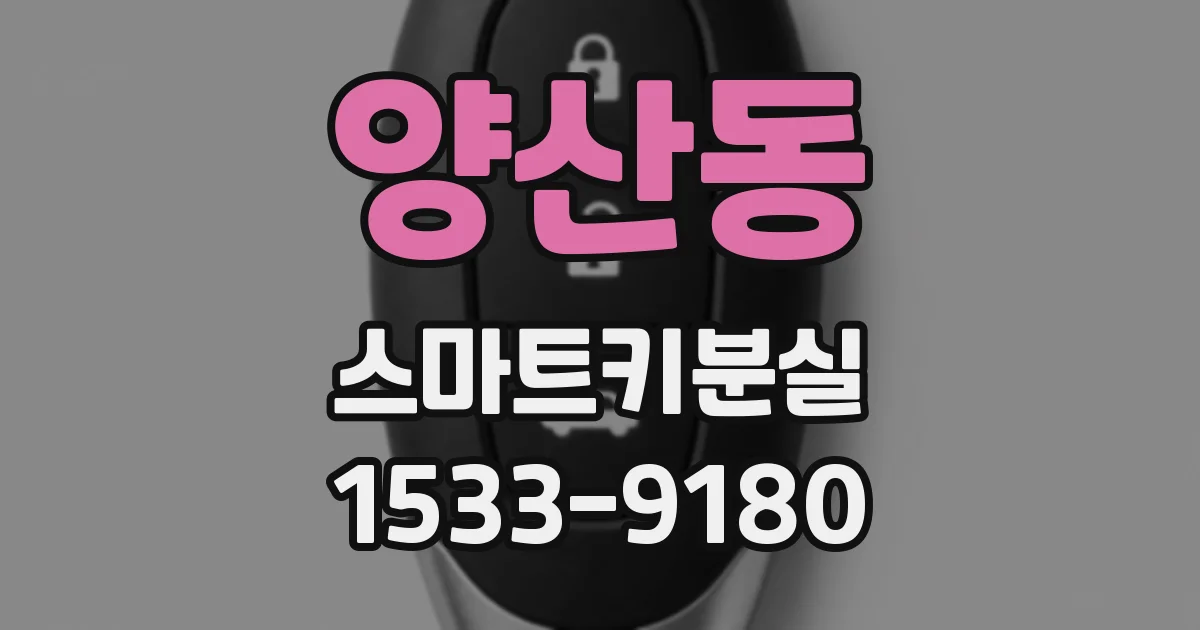 양산동 스마트키분실
