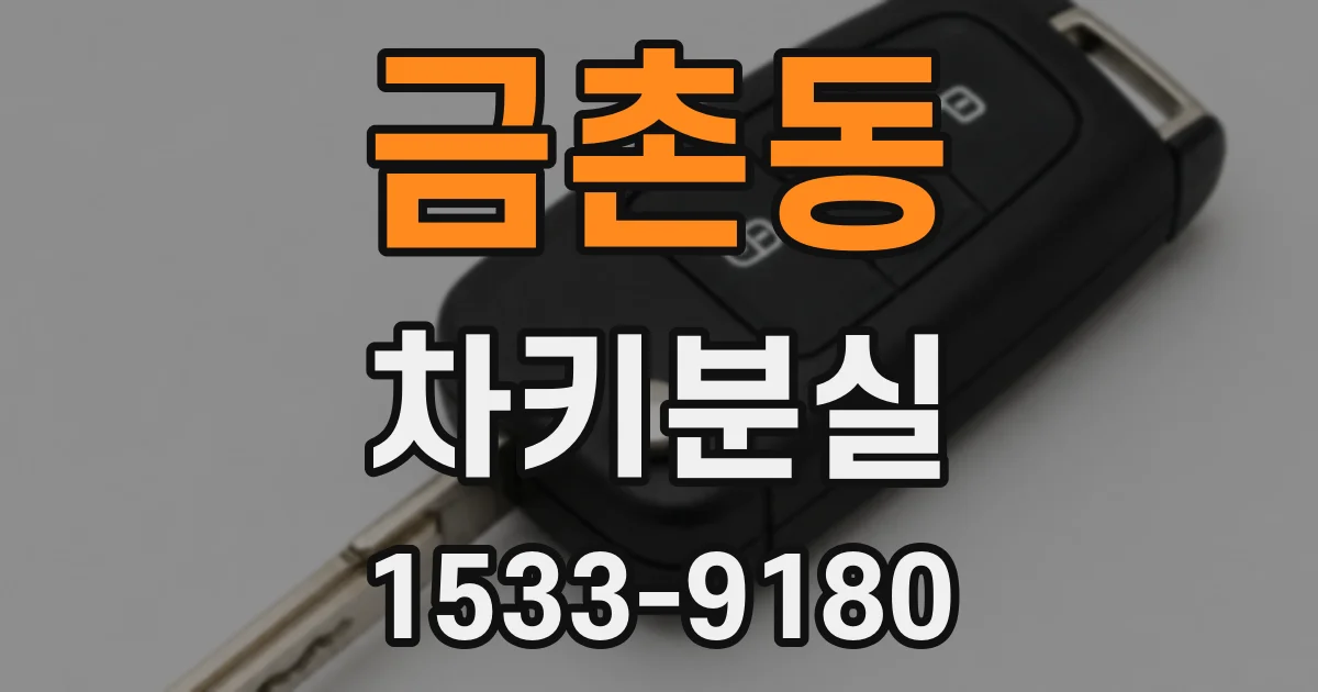 금촌동 차키분실