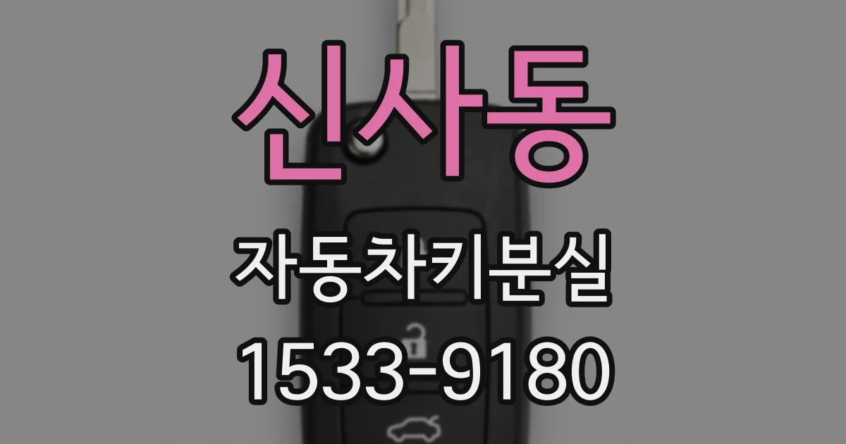 신사동 자동차키분실