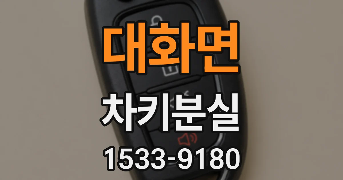 대화면 차키분실