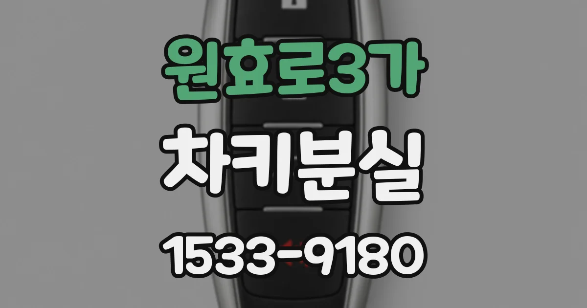 원효로3가 차키분실