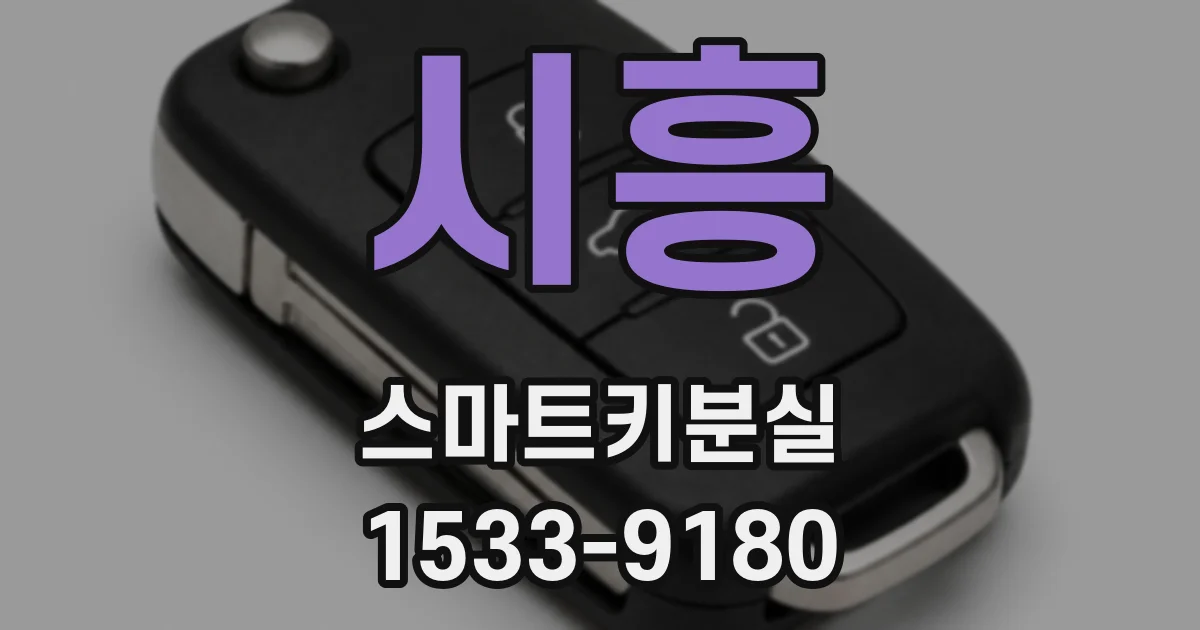 시흥 스마트키분실