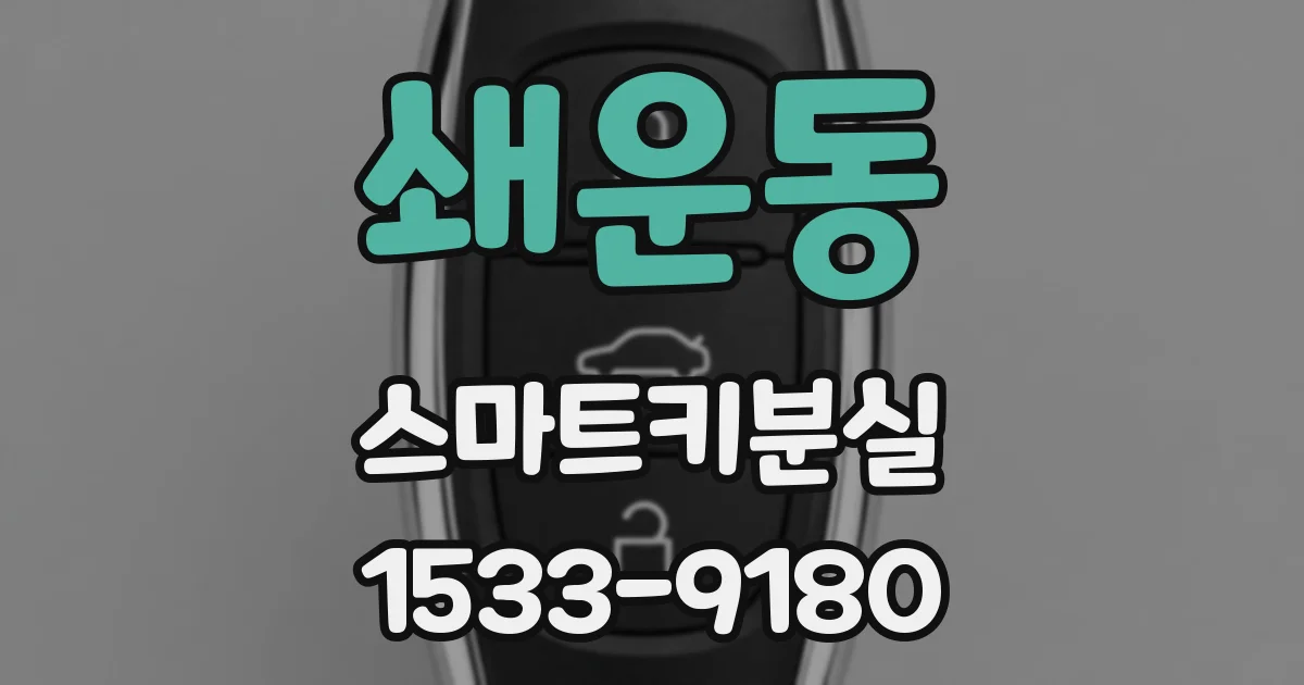 쇄운동 스마트키분실