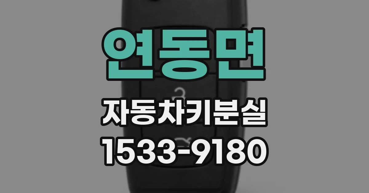 연동면 자동차키분실
