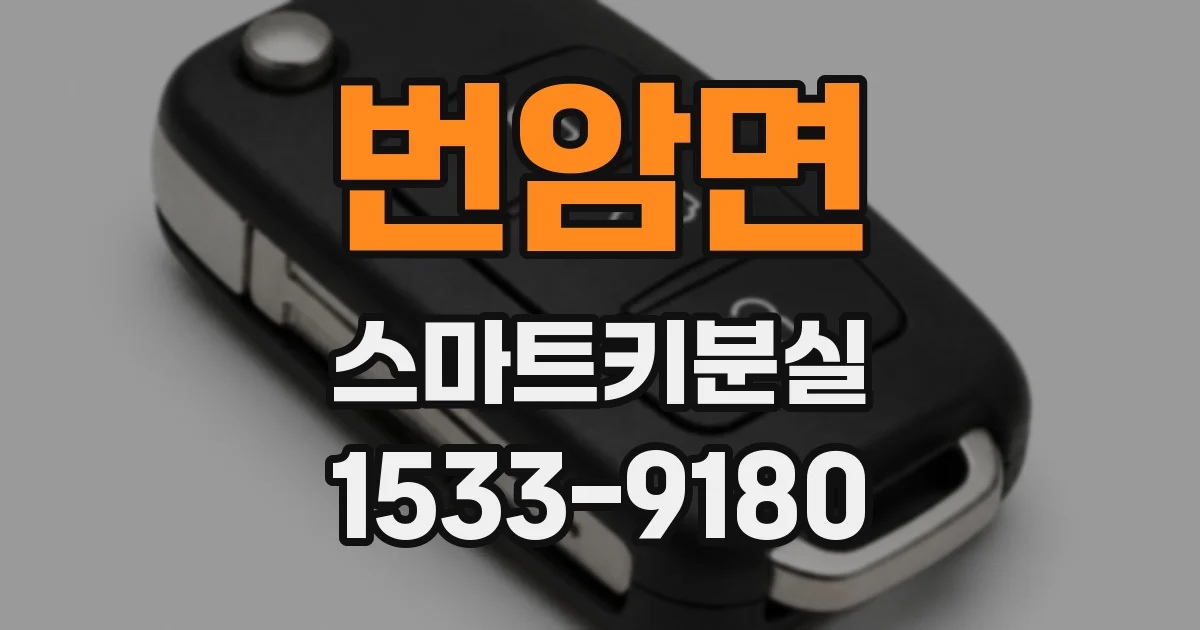 번암면 스마트키분실