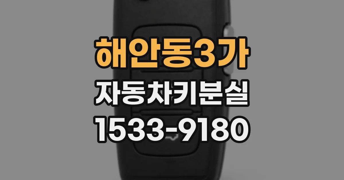 해안동3가 자동차키분실