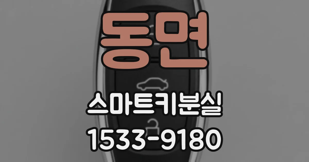 동면 스마트키분실