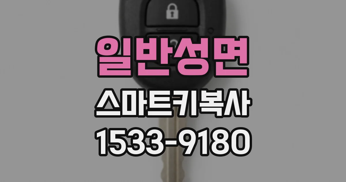 일반성면 스마트키복사