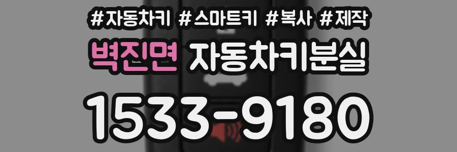 벽진면 자동차키분실