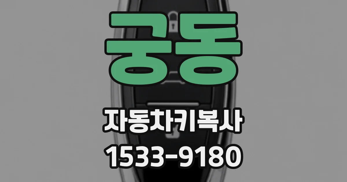 궁동 자동차키복사