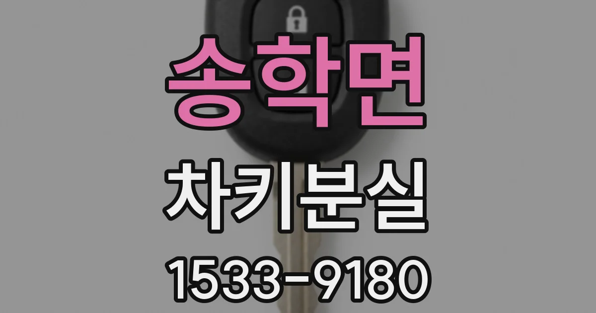 송학면 차키분실
