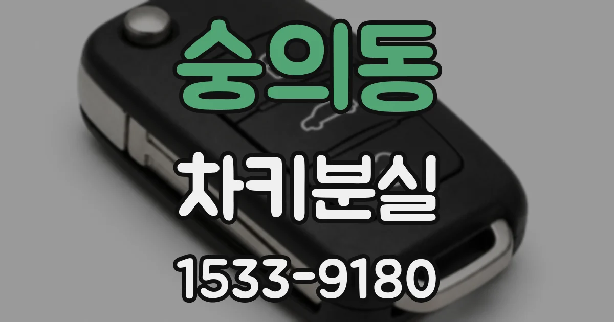 숭의동 차키분실