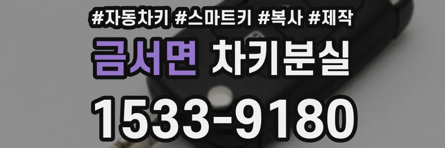 금서면 차키분실