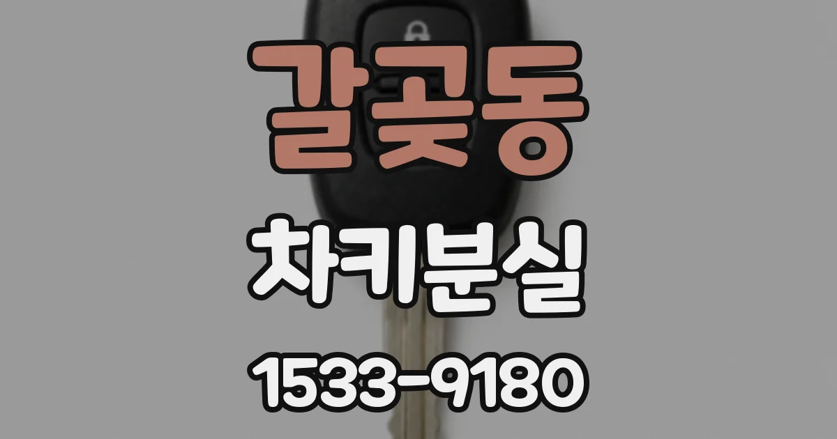 갈곶동 차키분실