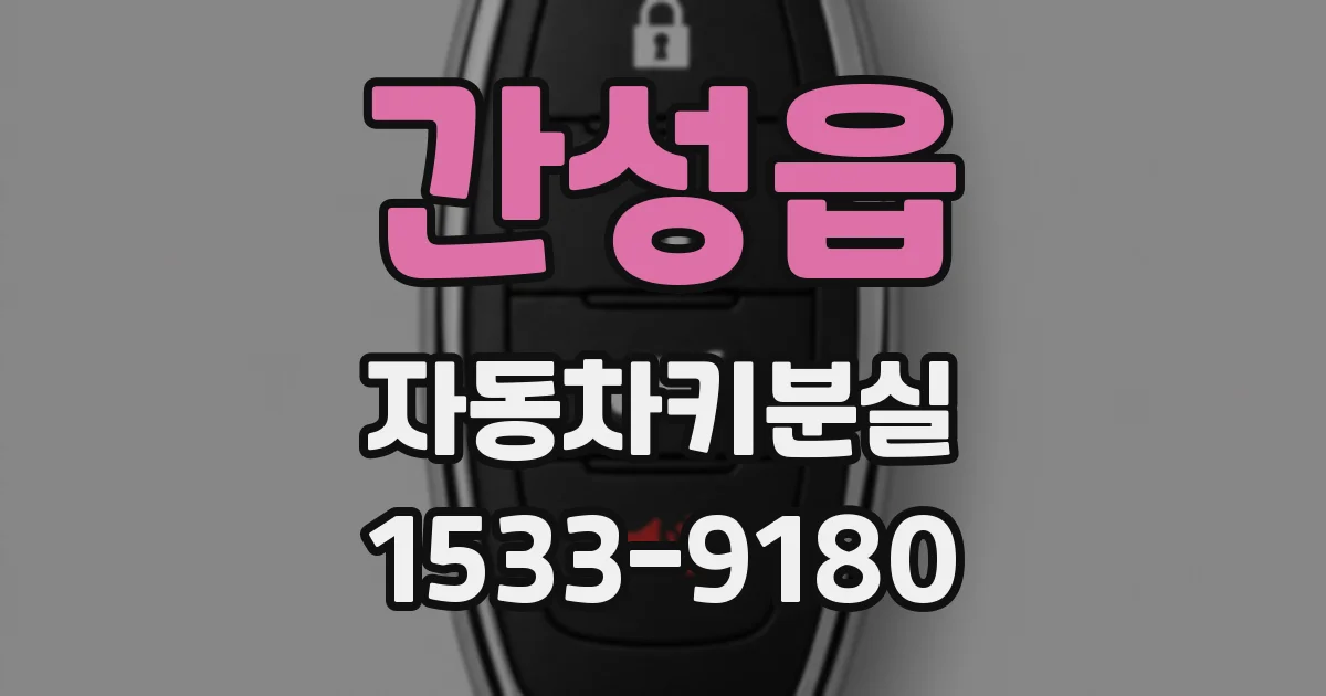 간성읍 자동차키분실