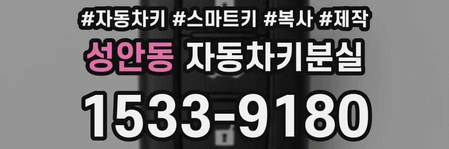 성안동 자동차키분실