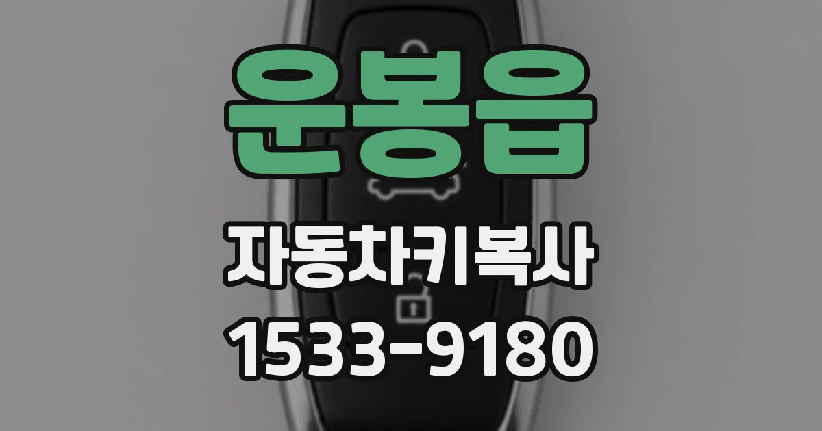 운봉읍 자동차키복사