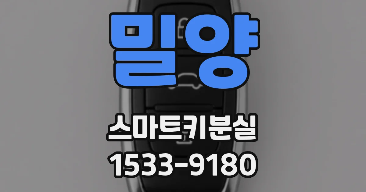 밀양 스마트키분실